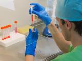 Впервые в истории стволовые клетки были выращены в лабораторных условиях