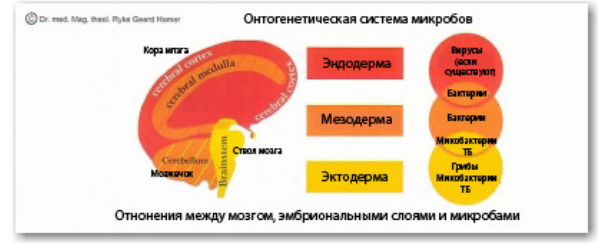 Доктор Хамер: То, что мы называем болезнями &ndash; это не бессмысленные мытарства